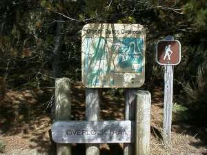 Oregon Dunes Overlook (16K)