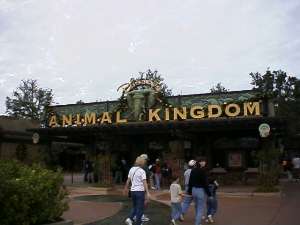 Animal Kingdom Gate (9KB)