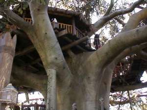 Tree House(9KB)