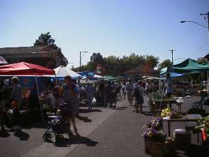 Saturday Market (11KB)